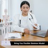 NLShan Human Skeleton Model for Anatomy,17" Mini Scientific Anatomical Human