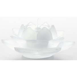 maruesu 浄 yeonhwa Subtle hurosutohowaito