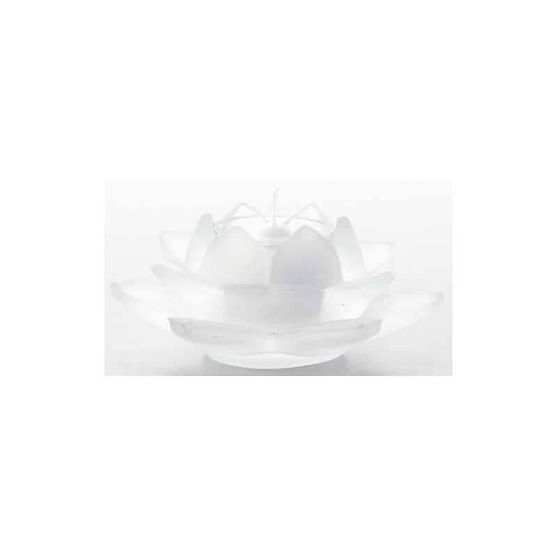 maruesu 浄 yeonhwa Subtle hurosutohowaito