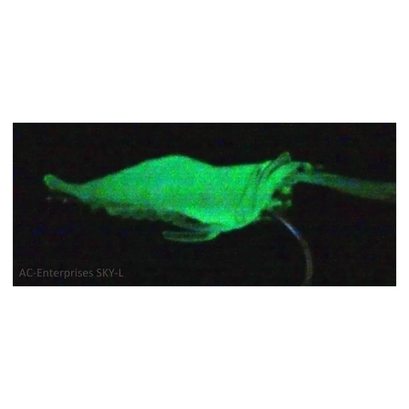 SeaSky Fishing New Luminous Shrimp/Prawn Lures with #2 Hooks (10