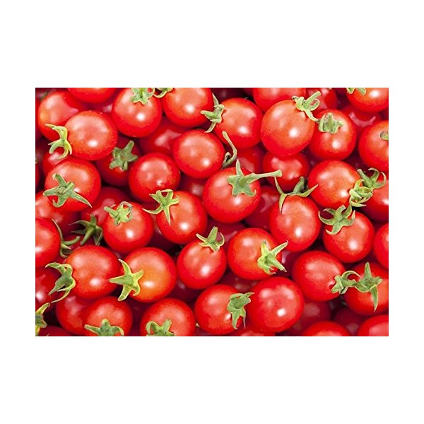 Harley Seeds 30 Sweetie Cherry a.k.a. Sugar Sweetie Tomato Seeds,