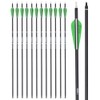 Archery 28Inch Carbon Arrow Practice Hunting Arrows with100 Grain Removable