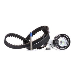 INA 530 0335 10 Timing Belt Set