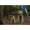 Dog Harness, No Pull Dogs Harness and Multi-Function Leash Set
