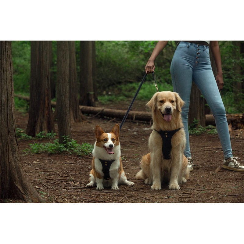 Dog Harness, No Pull Dogs Harness and Multi-Function Leash Set