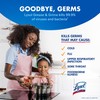 Lysol Pro Kitchen Spray Cleaner and Degreaser, Antibacterial All Purpose
