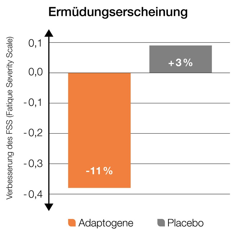 adaptoLoges® – 120 Capsules – For Support with Sports Stress