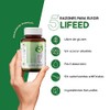 LIFEED5 Enzimas Digestivas, Probióticos y Prebióticos 120 cápsulas