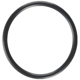 Motorcraft - Seal (P) (RTS1077)