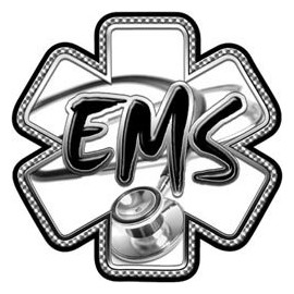 Gray EMS Stethoscope Star of Life Decal - 24" h - REFLECTIVE