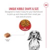 Royal Canin Dachshund Adult Breed Specific Dry Dog Food, 2.5