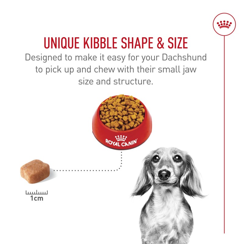 Royal Canin Dachshund Adult Breed Specific Dry Dog Food, 2.5