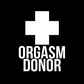 Orgasm Donor 6" Vinyl Sticker Car Decal (6" White)