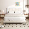 CXVX Adjustable Velvet Platform Queen Size Bed with LED Lights,