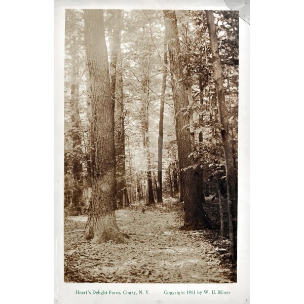 Heart's Delight Farm Chazy NY woods roads & streams 3