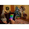 LumenPlay 1101950 Bulb Set App-Enabled C7 Extender String (12 RGB