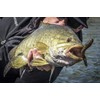 Berkley PowerBait Fishing Soft Bait