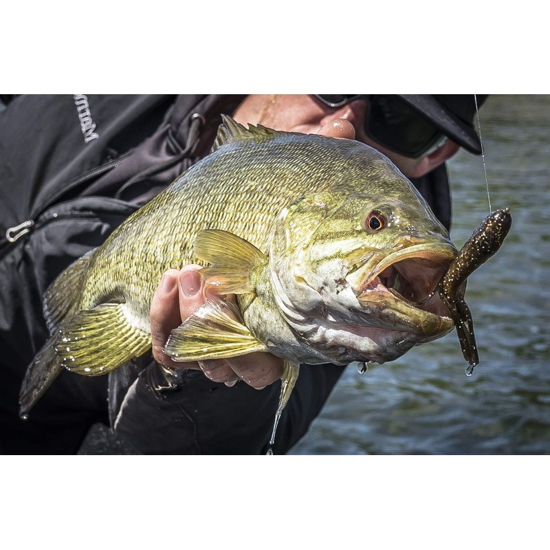 Berkley PowerBait Fishing Soft Bait