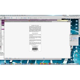 Polyshield Pre-Cleaner - Cleaning Polish and Swirl Mark Remover (8oz)