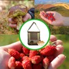 Bustlwor Crate Mushroom Hunting Bag, Mushroom Collecting Backpack, Foldable, Mushroom