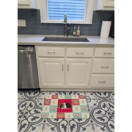 Caroline's Treasures CK5426RUG Abyssinian Guinea Pig Love Machine Washable Memory Foam Mat, Red, Bathroom Rug, Non-Slip Bath Mat, Durable Thick Washable Rugs for Kitchen, Bathroom Quick Dry, Decorativ