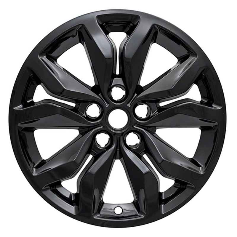 Auto Reflections Set of 4 18" 10 Spoke Wheel Skins