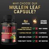 Mullein Leaf Capsules 𝟓𝟕𝟓𝟎𝐦𝐠 Strength w. Quercetin, Artemisinin, Quinine -