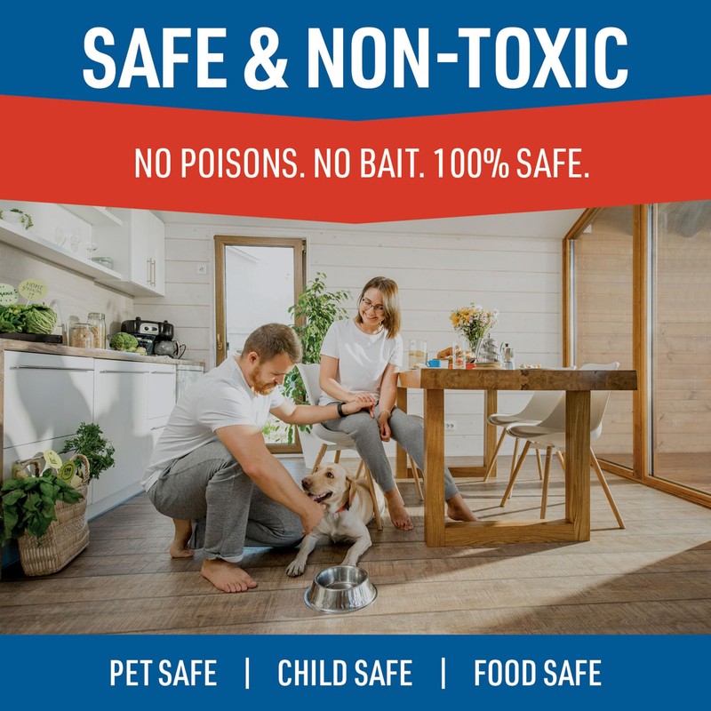 JT Eaton 421CL Repeater Multiple Catch Mouse Trap with Clear