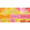 Taylors of Harrogate Herbal Tea Fruit Infusions Variety Pack –
