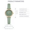 Comtex Fashionable Women's Analogue Quartz White Dial Wrist Watch, Green,