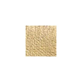 Lee Filters Soft Gold Reflector 24x21 Gel Filter Sheet