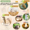 8 in 1 Clear Acrylic Hamster Cage with All Accessories,13.5''L*