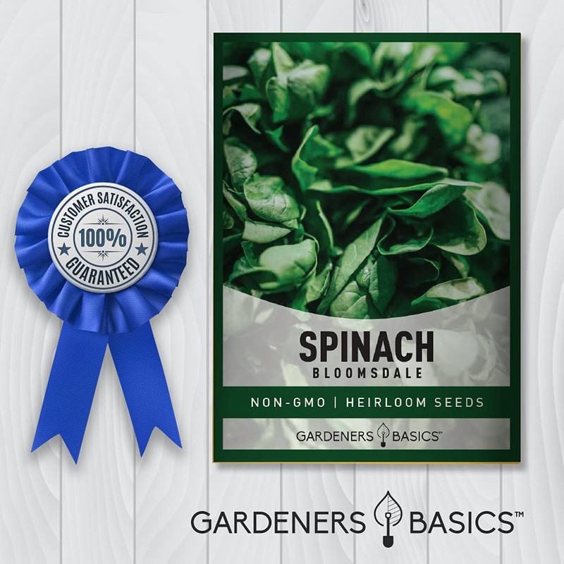 Gardeners Basics, Bloomsdale Spinach Seeds for Planting is A Great