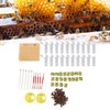 Queen Bee Rearing System Plastic Breeding Cell Cup Kit Beekeeping
