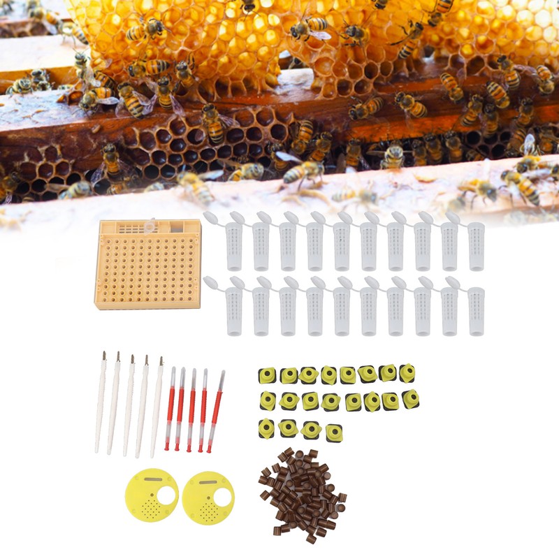 Queen Bee Rearing System Plastic Breeding Cell Cup Kit Beekeeping