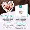 Healthspan Heart Synergex | 28 Day Supply | With Vitamin