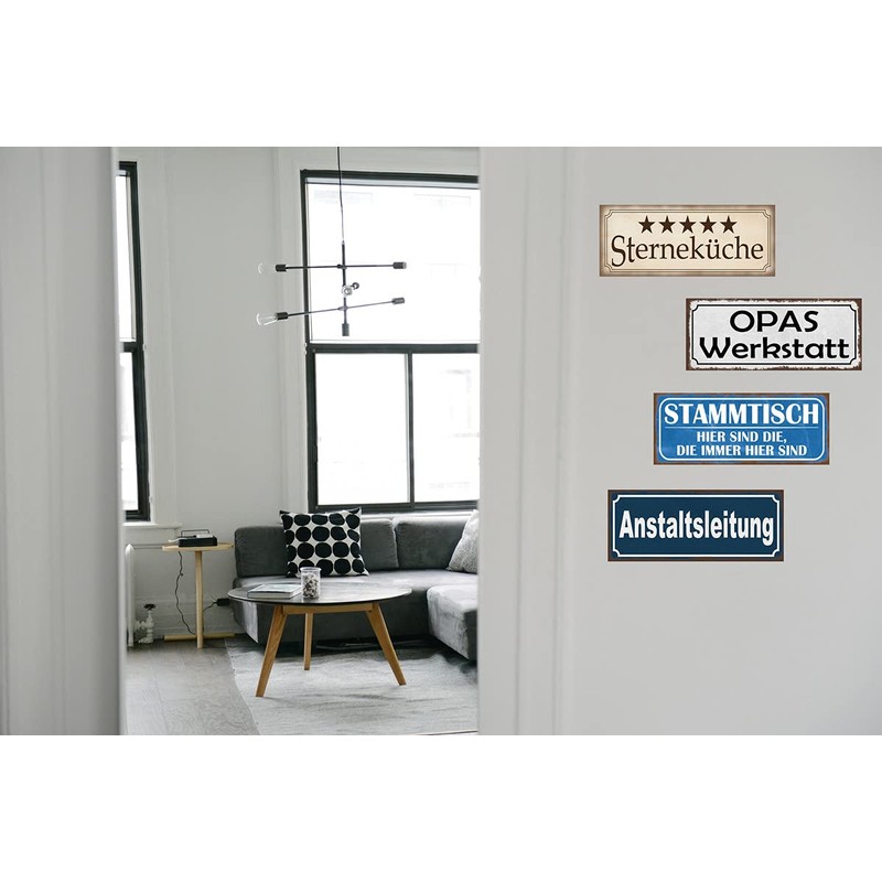 Metal Sign 27 x 10 cm with 4 Magnets Einstein