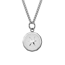 HIJONES Men's Stainless Steel Round Coin Constellation Necklace Zodiac Sign Pendant with Chain, Metal, Metal