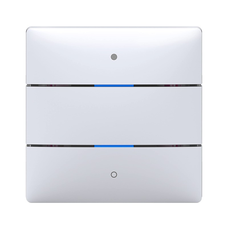 Theben 4969232 iON 102 KNX Touch Sensor 2 Buttons Secure