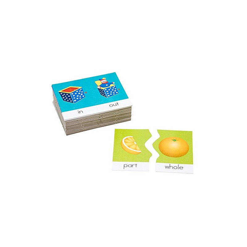 Didax Reading Skills Puzzles: Opposites