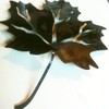 Metal Maple Leafs Set of 4 (A39)