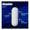 Glutatión Glutathione Suplemento Alimenticio 90 Cápsulas Sin Sabor Vegano