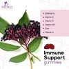 Immune Support Gummies with Sambucus Black Elderberry Extract, Zinc &