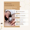 bedrop Propolis Nail Serum 10 ml Cosmetic Nail Care for