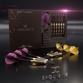 CC-Exquisite Professional Darts Set - Customizable Configuration 6 Steel Tip Darts 20g/24g with 12 Aluminum Shafts 35/48mm, 12 O-Rings, 12 Flights Standard/Slim, Dart Tool, Dart Sharpener and Case…