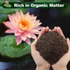 Aquatic Plant Soil for Water Lily & Lotus – Clay-Based,