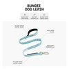 DF Co. Bungee Dog Leash | Strain Free & Shock