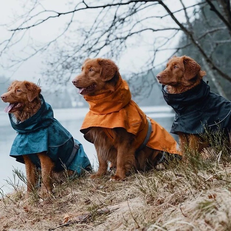 Hurtta Monsoon Coat, Dog Raincoat, Bilberry, 14 in