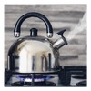 Whistling Tea Kettle Stainless Steel Stove Top Tea Kettle