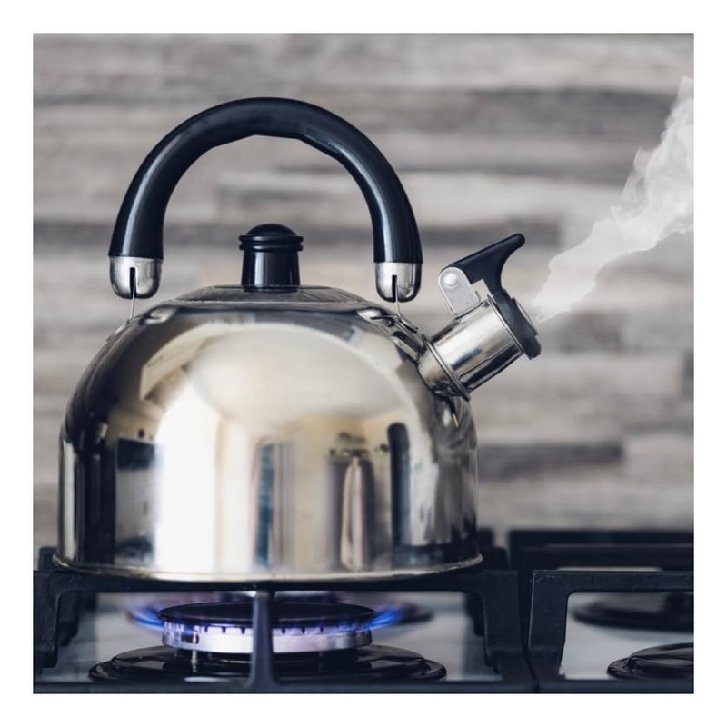 Whistling Tea Kettle Stainless Steel Stove Top Tea Kettle